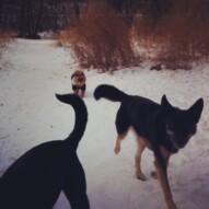 Teela & Oliver