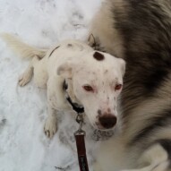 Finn practicing his sits