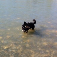 Teela loves the river