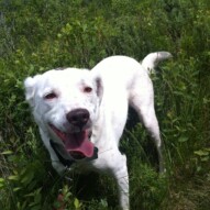 Finn always has a smile on his face