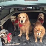 The NW pack is in full effect!! -Miguel