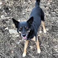 Teela partaking in a RARE pause.