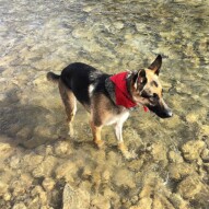 Bailey dipping her toes in the river…
