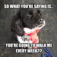 Welcome to the pack, Alara!! And Happy Birthday!!!