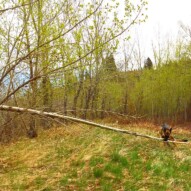 Bailey isn't afraid of anything!!