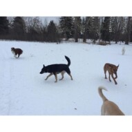 Waylon, Teela and River