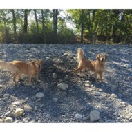 Brother & Sister: Guinness & Bebe