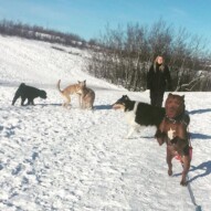 Nikki & Gillian's pack #yycdogs #calgarydogwalkers
