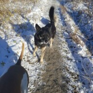 Crew loving first snow fall