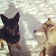 Best friends, Teela and Kona