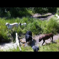 Creek time!
