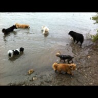 Play time in the river