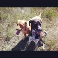 Miss Molly & Piper, stopping to pose for the camera