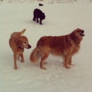 Dory, Jake and Annie