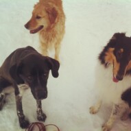 Best friends Dory, Piper and Storm