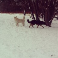 Teela & Kia