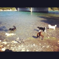 Play time in the river