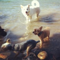 Ruby, Oliver and Kia