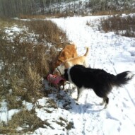 Something smells good!