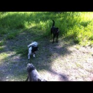 Boyfriend & girlfriend: Ace and Georgia