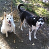 Best friends, Kia and Meka