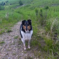 Storm, stopping to pose for the camera
