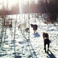 Enjoying the snow