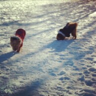 Brother & Sister: Ruby & Oliver