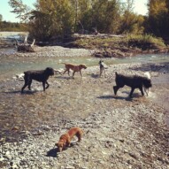 September pack walks
