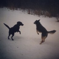 Buddy & Teela