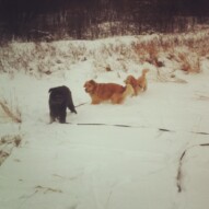 Abby, Charlie & Annie