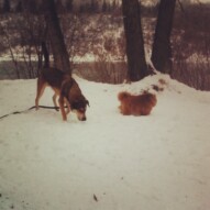 Samson & Oliver