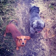 Little cuties