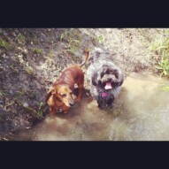 Best friends, Lolo and Sophie